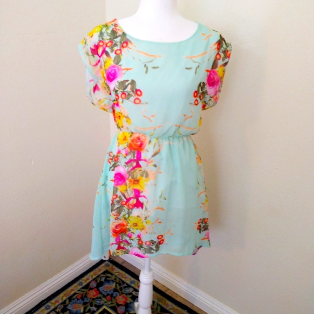 Triumph | Vintage Mint Green Floral Sheer High Low Dress
